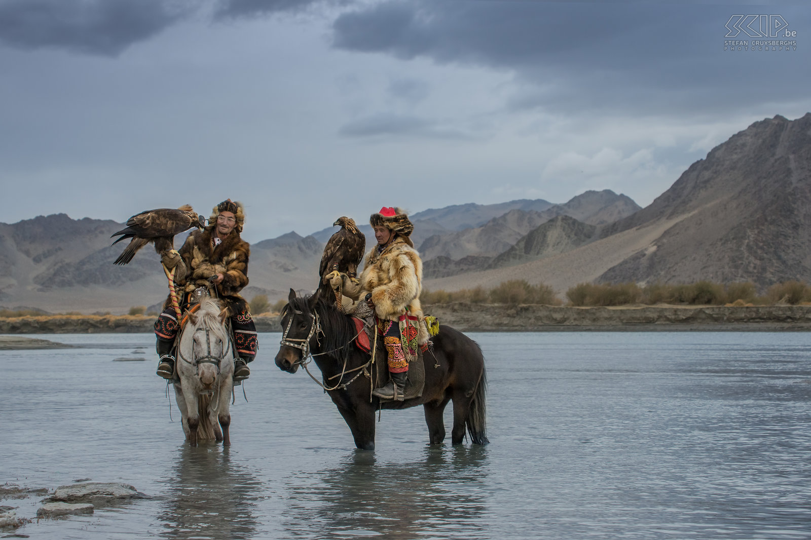 Ulgii - Golden Eagle Festival - Arendjagers Twee Kazakse arendjagers laten hun paarden drinken in de rivier na de eerste dag van de Golden Eagle festival in het Altai gebergte in Mongolië. Stefan Cruysberghs